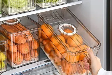 refrigerator food storage